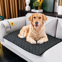 Waterproof Dog Mats Water-absorbing Dog Diaper Changing Mat Training Reusable Pet Changing Mat AntiSlip Mat Carpet Absorbent Mat
