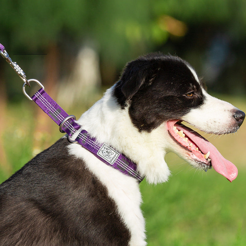 Dog Collar Pet Supplies Collar Collar Small