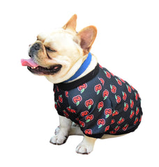 Spring and autumn Teddy dog clothing custom dog clothing pet clothing