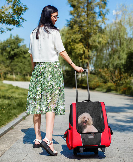 Small Pet Wheel Carrier Dog Cat Portable Strollers Backpack Breathable Puppy Roller Luggage Car Travel Transport Bag