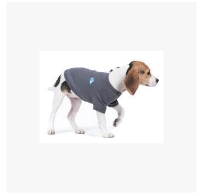 Pet Clothing Dog Vest Two-legged Clothing