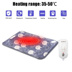 Cat and dog electric blanket