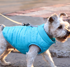 New Pet Dog Clothing Autumn And Winter Full Nylon Zipper Puppy Jacket Dog Clothing