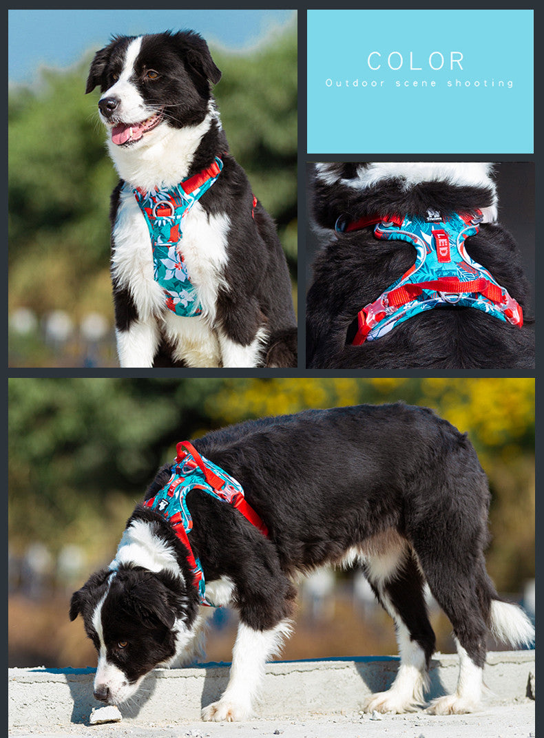 Dog leashes dog chain vest vest straps