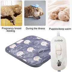 Cat and dog electric blanket