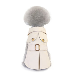 Trendy And Fashionable Dog Clothing And Clothing