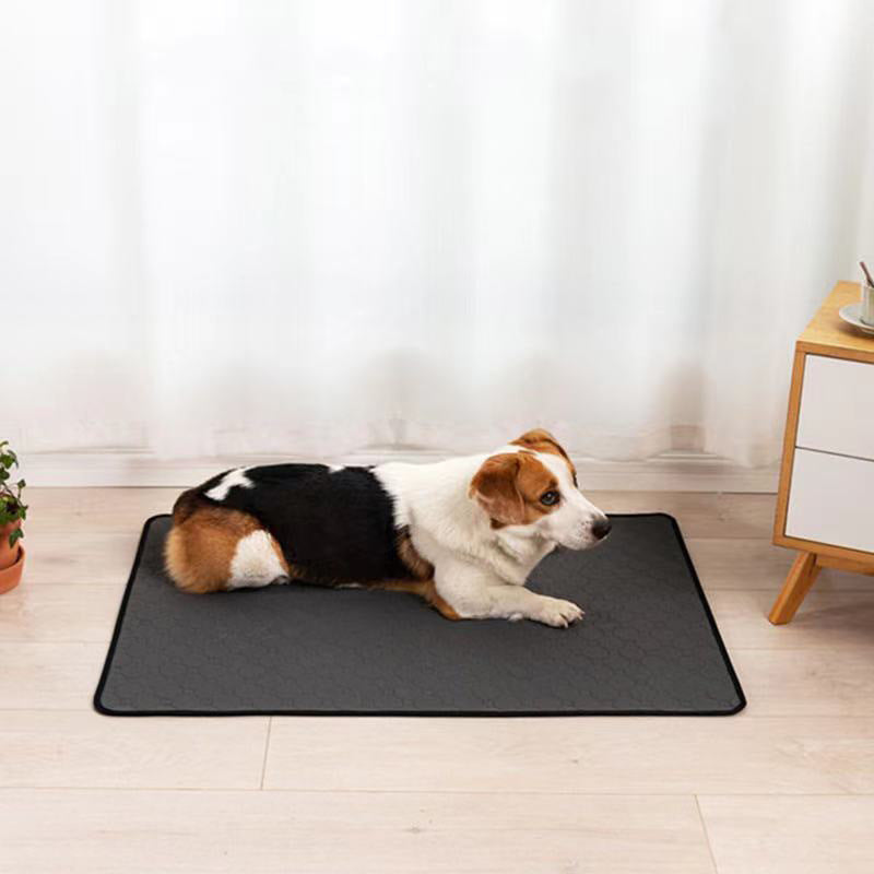 Waterproof Dog Mats Water-absorbing Dog Diaper Changing Mat Training Reusable Pet Changing Mat AntiSlip Mat Carpet Absorbent Mat