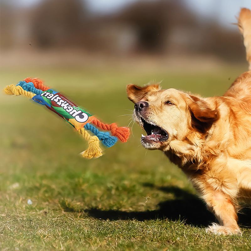 Dog Bite Training Molar Toy