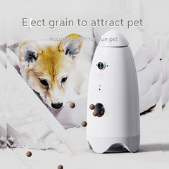 Pet Smart Feeding Equipment Cat And Dog Feeder