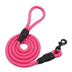 Training-Rope-Belt Leashes