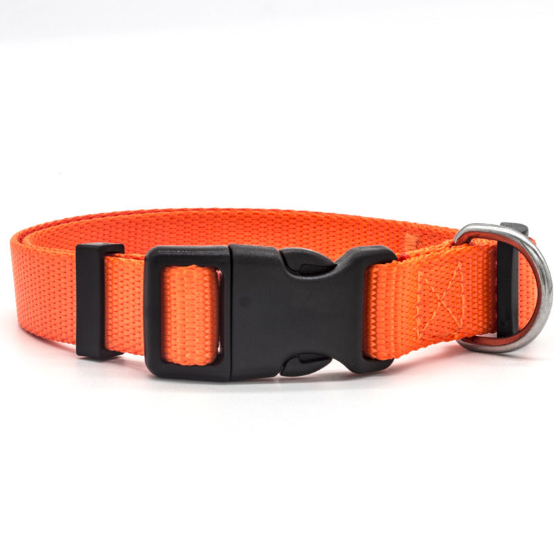 Super durable nylon collar, dog traction collar collar