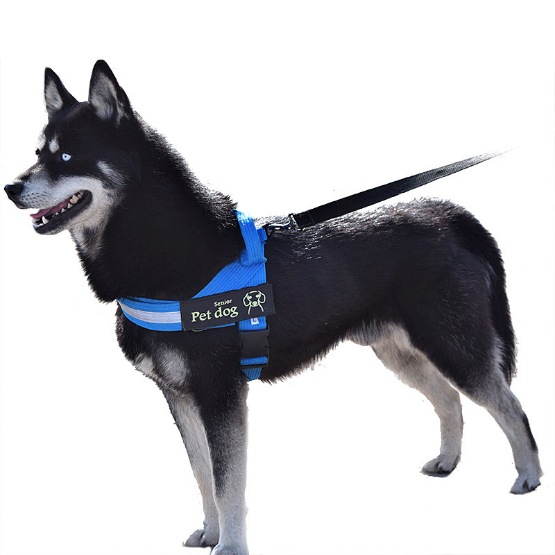 Dog leash and chest harness