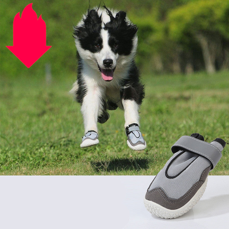 Pet Shoes Wear-resistant And Breathable Big Dog
