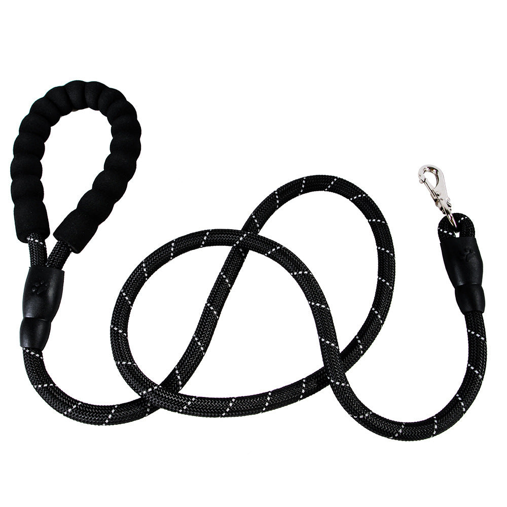 Dogs With One Tow Two Leashes Pets Double Heads