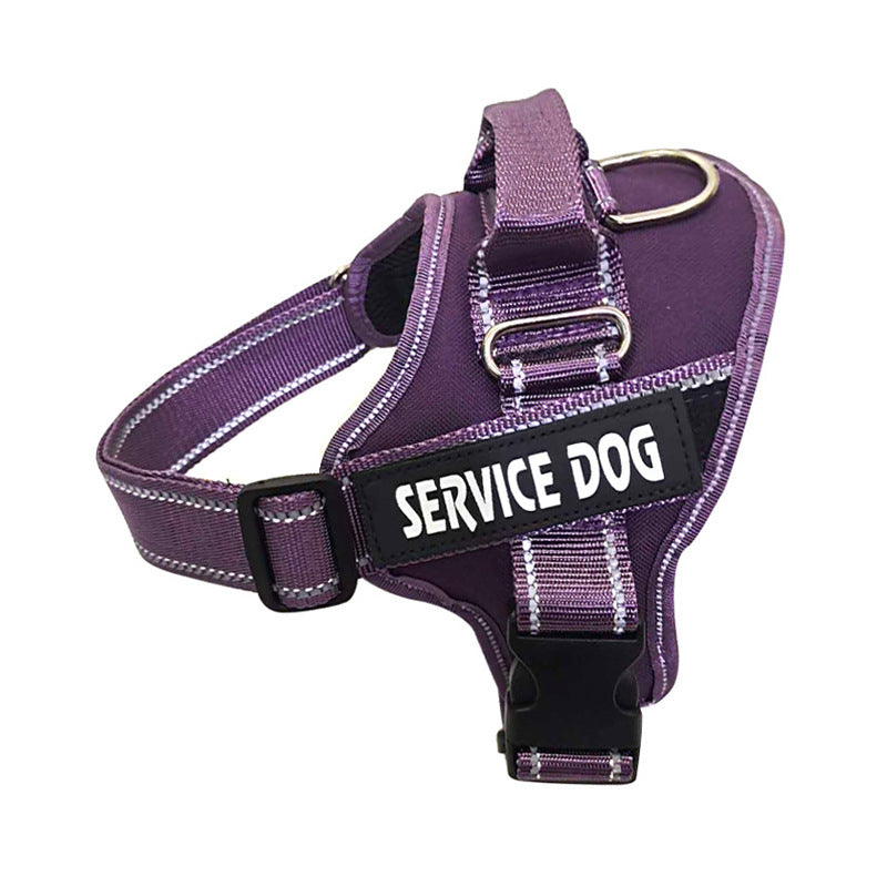 Personalized Copybook Reflective Dog Harness